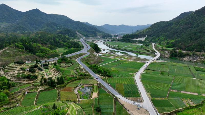 浙農(nóng)浙貝母、杭白菊基地通過中藥材GAP延伸檢查